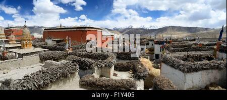 Le Népal, Gandaki zone, Upper Mustang (près de la frontière avec le Tibet), les toits et le monastère de la cité fortifiée de Lo Manthang, la capitale historique du royaume de Lo Banque D'Images