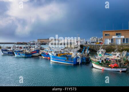 La France, Finistère, Brest, le port de pêche dans le port de commerce Banque D'Images