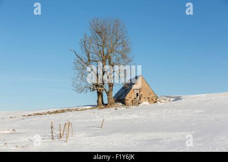 France, Puy de Dome, plateau du Cezallier paysage près de la Godivelle, parc naturel régional des volcans d'Auvergne (Parc naturel régional des volcans d'Auvergne Banque D'Images