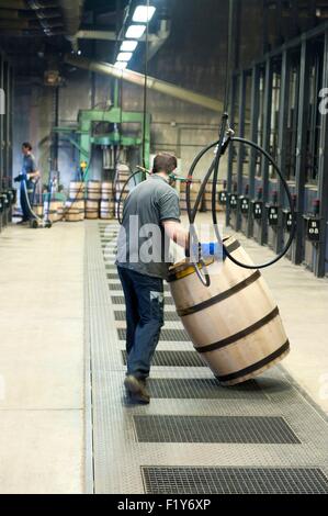 France, Charente, Cognac, La Tonnellerie Vicard cinquième World cooperage, fabrication d'un tonneau dans les ateliers Banque D'Images