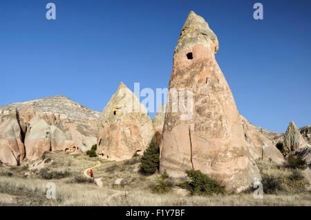 La Turquie, l'Anatolie centrale, la Cappadoce Nevşehir Province, inscrite au Patrimoine Mondial de l'UNESCO, du parc national de Göreme, propriétés en cheminées de fées dans la vallée des Roses Banque D'Images