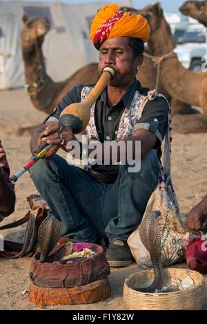 L'Inde, Rajasthan, Pushkar, charmeurs au Pushkar foire de bétail Banque D'Images