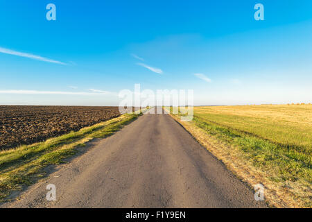 Route asphaltée qui traverse le terrain et aller au-delà de l'horizon Banque D'Images