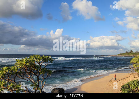 Surfer au parc de Hookipa Beach sur l'île de Maui Banque D'Images