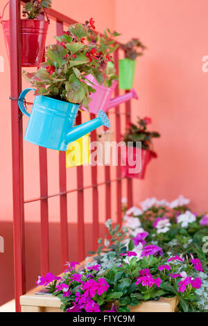 Belle idée colorée pour les petits pots de fleurs dans le jardin d'accueil où il n'est pas très grand espace pour pousser des espèces différentes. Banque D'Images