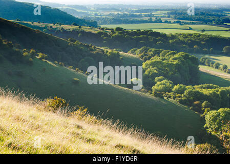 Les South Downs sur un escarpement de Genève à la fin de l'après-midi d'été, East Sussex, UK Banque D'Images