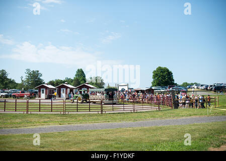 Visiteurs de Butler's Orchard cueillette de fraises Germantown Maryland // GERMANTOWN, Maryland — les visiteurs cueillent des fraises mûres dans les champs de Butler's Orchard pendant la haute saison des fraises. La ferme familiale, située dans le paysage vallonné du comté de Montgomery, offre une expérience populaire à choisir soi-même dans le cadre de ses attractions agritouristes. Banque D'Images