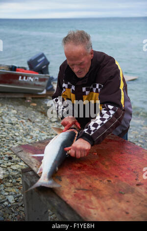 L'Arctique du Nunavut,Canada,Filets,de l'omble de l'Arctique, Banque D'Images