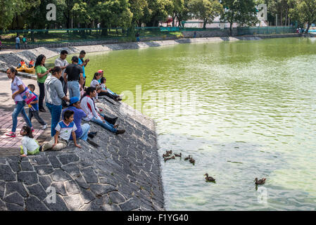 La VILLE DE MEXICO, MEXIQUE - Se détendre sur le lac chez les canards banque en basque de Chapultepec, un grand parc public et populaire dans le centre de Mexico. Banque D'Images