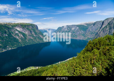 Vue d'été de vue Stegastein Sognefjord, Norvège Banque D'Images