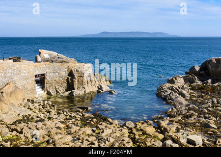 La natation de personnes au lieu de baignade de 40 pieds, Sandycove, Dun Laoghaire Rathdown-, Irlande Banque D'Images