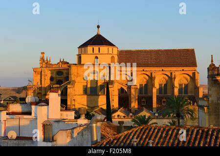 La Cathédrale Mezquita catedral (mosquée) au coucher du soleil, Cordoue, Andalousie, Espagne Banque D'Images