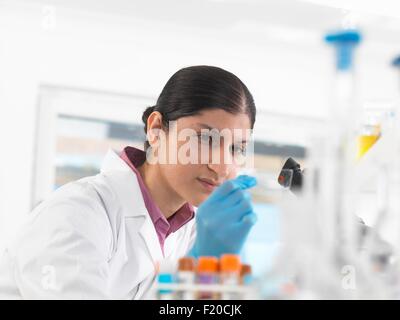 Jeune femme scientifique sang affichage diapositive lors d'essais cliniques d'échantillons médicaux dans un laboratoire Banque D'Images
