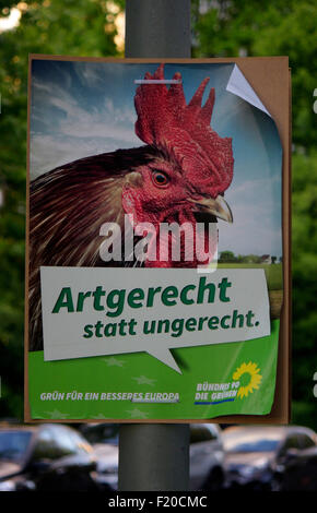 'Artgerecht statt ungerecht', Die Gruenen - Wahlplakate zur Europawahl anstehenden, Berlin. Banque D'Images