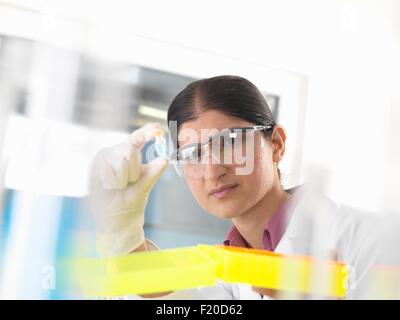 Female scientist holding up et de l'examen d'échantillons chimiques in lab Banque D'Images