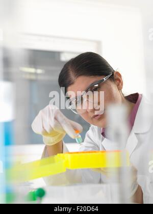 L'examen scientifique des femmes dans l'échantillon chimique lab Banque D'Images