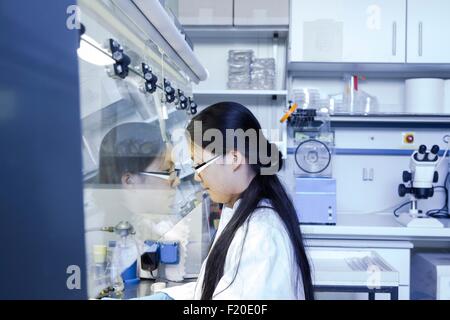 Hotte d'inspection Female scientist in laboratory Banque D'Images