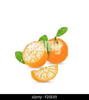 Set fruits orange, couper des tranches et Illustration de Vecteur