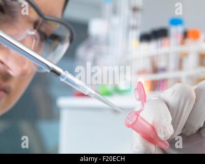 Close up of female scientist pippetting d'échantillon dans un tube Eppendorf pour analyse en laboratoire Banque D'Images