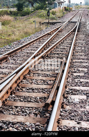 Triage avec switcher dans la campagne. Banque D'Images