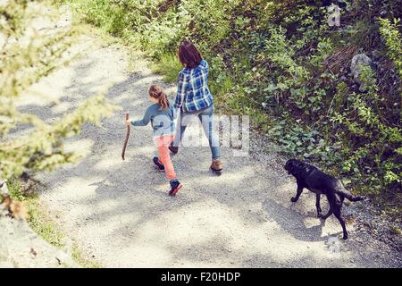 Mère et fille marcher dans la forêt, main dans la main, le chien à marcher derrière, vue arrière Banque D'Images