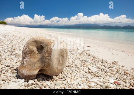 Petites îles de la sonde, Indonésie, archipel, Kangge Alor Island, os de baleine sur une plage Banque D'Images