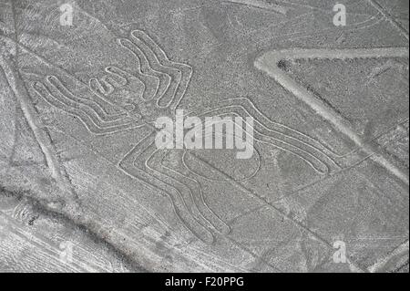 Pérou, Région de l'Ica, Nazca désert, les lignes de Nazca (5e-7e siècle), classé au Patrimoine Mondial de l'UNESCO, les géoglyphes sont de grandes figures tracées sur le sol, souvent animaux stylisés, spider (47 m de long), vue aérienne Banque D'Images