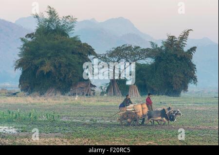 Myanmar (Birmanie), l'État de Shan, la tribu de Pao, Sagar Lake, Sagar (Samkar Inlay), les gens arrivent par bateau sur le lac avant d'aller au marché Banque D'Images