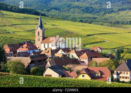 France, Alsace, Route des Vins d'Alsace, Ribeauvillé, le village et le vignoble autour de Banque D'Images
