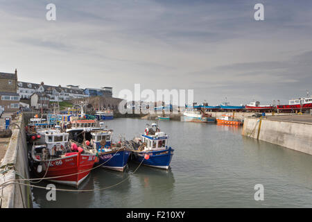 Port de Seahouses avec la location de bateaux de pêche, la côte de Northumberland, England, UK Banque D'Images