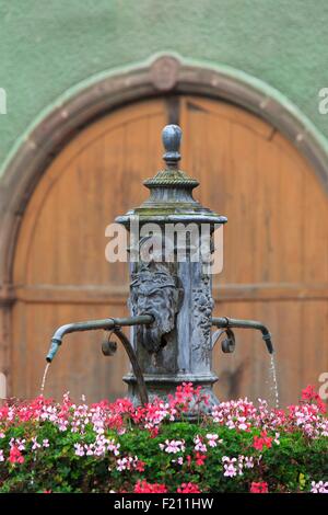 France, Alsace, Route des Vins d'Alsace (Route des vins d'Alsace), Bergheim, fontaine et fleurs Banque D'Images