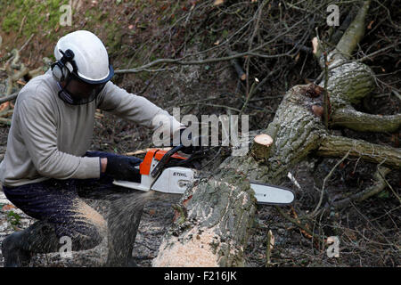 Les conditions météorologiques, les tempêtes, l'homme à l'aide d'arbre de scie à chaîne pour enlever tombés lors de vents de tempête. Banque D'Images