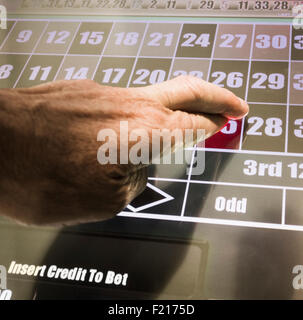 Homme avec les doigts jouant sur cote fixe machine roulette dans bookmakers. UK Banque D'Images