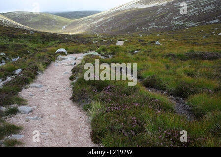 Suite chemin Glas-allt rivière menant à Lochnagar - Loch Muick à Lochnagar path - Aberdeenshire - Ecosse - UK Banque D'Images