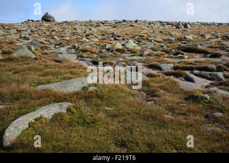 Suite chemin Glas-allt rivière menant à Lochnagar - Loch Muick à Lochnagar path - Aberdeenshire - Ecosse - UK Banque D'Images