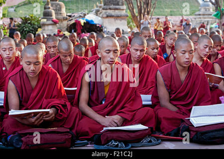 L'Inde Bihar Bodhgaya grand groupe de jeunes moines bouddhistes assis le chant et la lecture des prières lors d'une cérémonie dans le parc du Banque D'Images