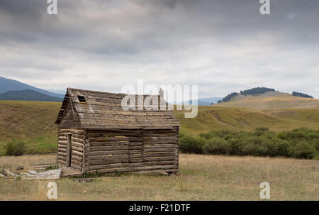 Golden Eagle sur une ancienne grange avec de beaux paysages. Banque D'Images