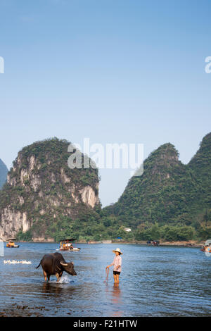 Femme Asiatique avec sa vache dans la rivière Li avec des bateaux et des montagnes en arrière-plan, Yangshuo, Chine, Asie Banque D'Images