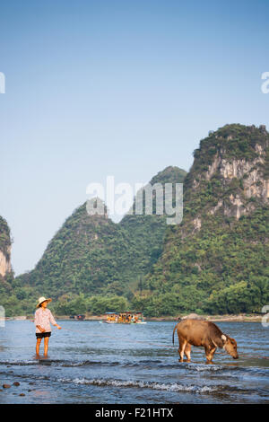 Femme Asiatique avec sa vache dans la rivière Li avec des bateaux et des montagnes en arrière-plan, Yangshuo, Chine, Asie Banque D'Images