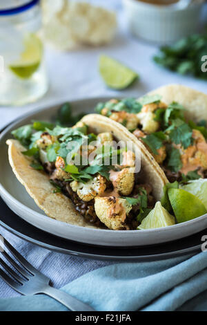 Chou-fleur rôti épicé de lentilles et les tacos Banque D'Images