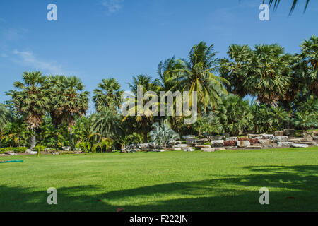 Palm Garden en trois Banque D'Images