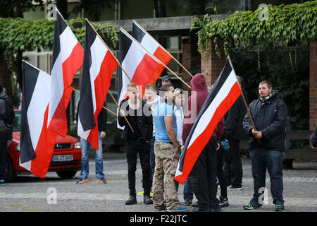 drapeau néo nazi