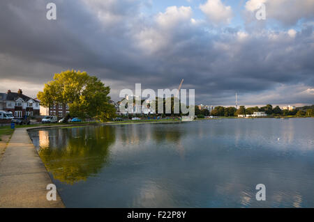 À partir de la lumière du soleil illumine un arbre par l'eau comme des ensembles en soirée à Poole Park. Banque D'Images