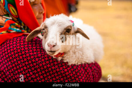 Femme tibétaine dans la campagne, avec son petit mouton dans les mains, le 20 août 2014, Tibet Banque D'Images