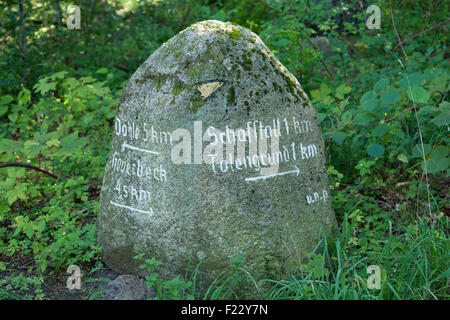 Panneau de pierre, Lueneburg Heath près de Wilsede, Basse-Saxe, Allemagne Banque D'Images