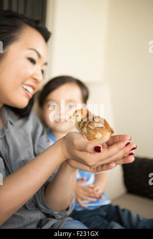 Smiling woman holding un tout petit poussin dans ses mains, son jeune fils à regarder. Banque D'Images