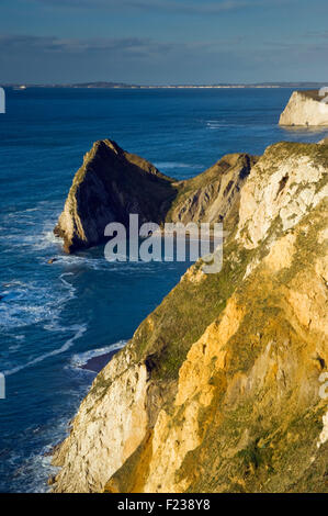 Vue vers Durdle Door du South West Coast Path Lulworth Dorset près de sur la côte jurassique, England, UK Banque D'Images