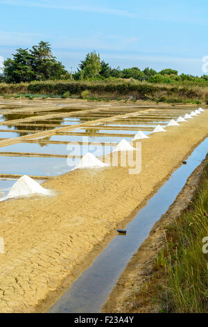 Port des salines, Oléron, Charente Maritime, France Banque D'Images