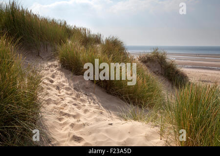 Dune de sable érodée à Southport; nature, plage, ciel, mer,Été, ciel bleu, côte, empreintes et traces de pas, végétation côtière d'herbe de maram, Merseyside UK Banque D'Images