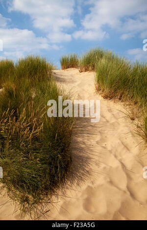 Dune de sable érodée à Southport; nature, plage, ciel, mer,Été, ciel bleu, côte, empreintes et traces de pas, végétation côtière d'herbe de maram, Merseyside UK Banque D'Images